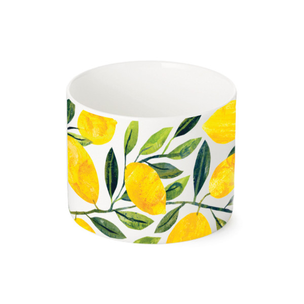 Tracey‘s Citronella small Bowl Fine Bone China Ø7 cm, H:6 cm