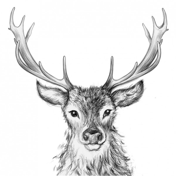 Paul Lunch Napkins 33x33 cm