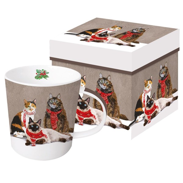 Scarf Cats Trend Mug in a matching square gift box 350ml New Bone China