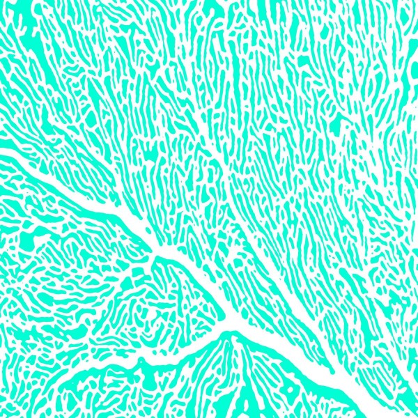 Colette Lunch Napkins 33x33 cm