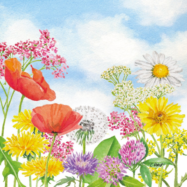 Summer Day Napkins 33x33 cm