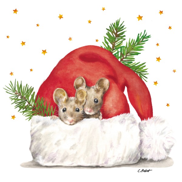 Get cozy Lunch Napkins 33x33 cm