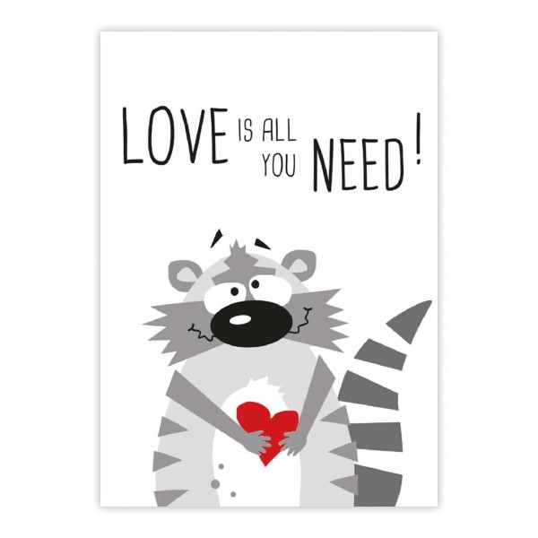Need Love Racoon Postcard