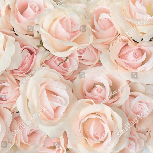 Rose Dream Lunch Napkins 33x33