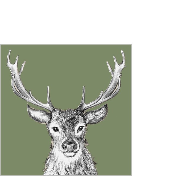 Paul green Cocktail Napkins 25x25 cm