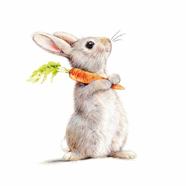 Rabbit & Carrot Lunch Napkins 33x33
