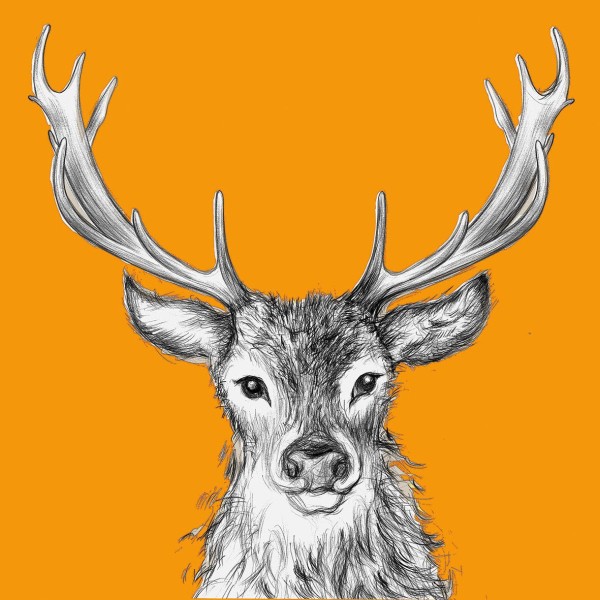 Paul orange Napkins 33x33 cm