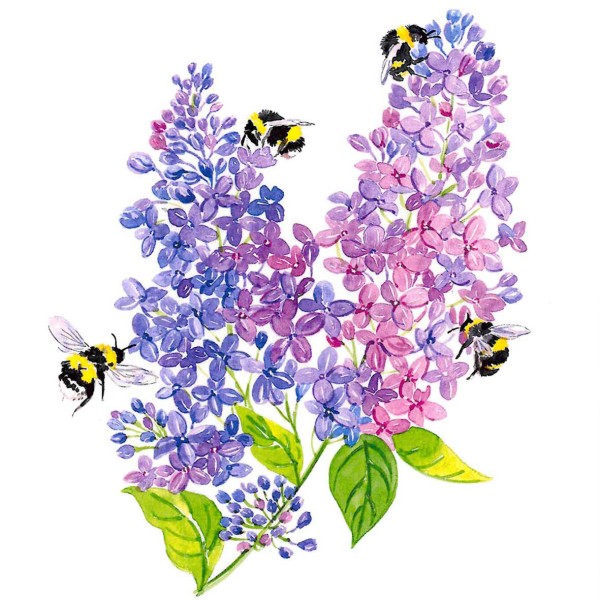 All Abuzz Lunch Napkins 33x33