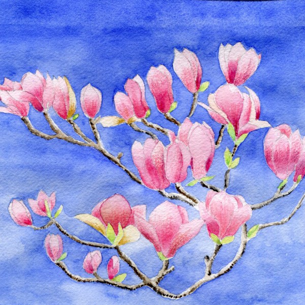 Magnolia Lunch Napkins 33x33 cm