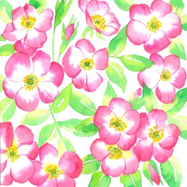 Aubépine Lunch Napkins 33x33 cm