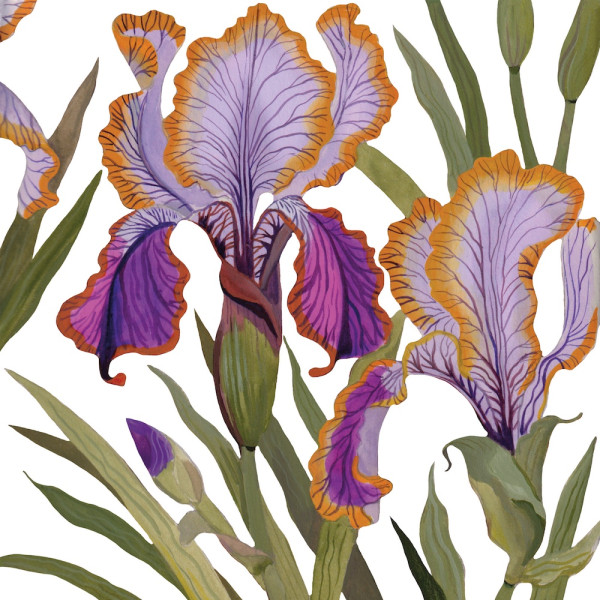 Dominique Napkins 33x33 cm