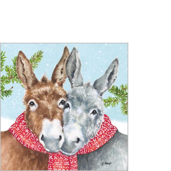 Dana & Don Cocktail Napkins 25x25 cm