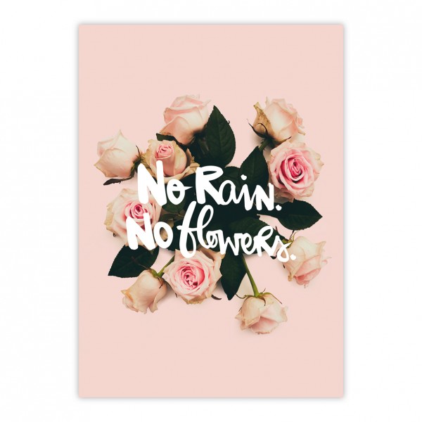 No Rain No Flowers Postcard