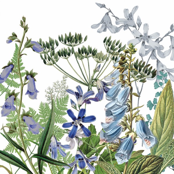 Donatella Lunch Napkins 33x33