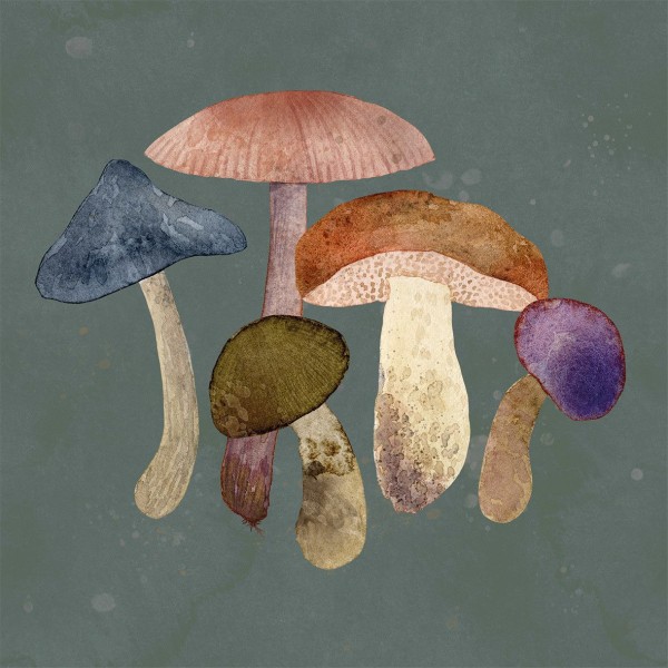 Mushroom Fantasy Napkins 33x33 cm