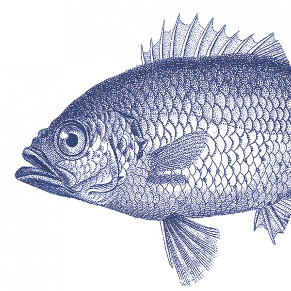 Fish marine Lunch Napkins 33x33 cm