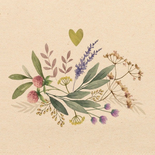 Provence eco Lunch Napkins 33x33