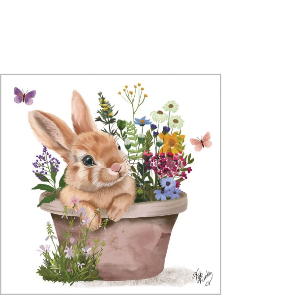 Colette Cocktail Napkins 25x25 cm