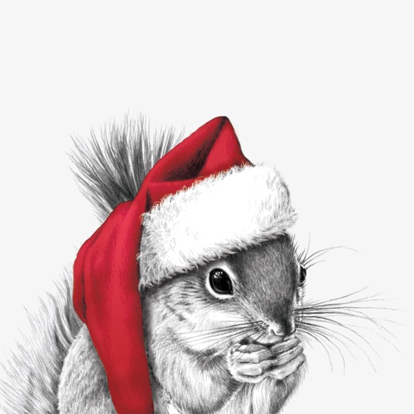 Ralf Red Hat Lunch Napkins 33x33 cm