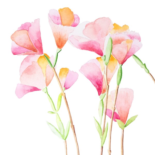 Godesias Lunch Napkins 33x33