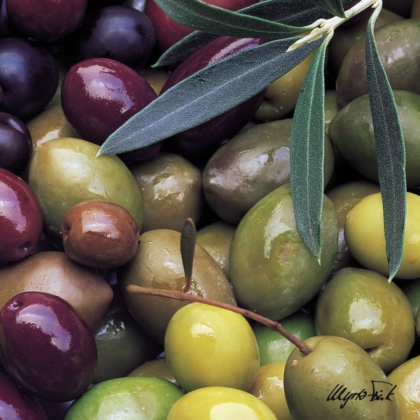 Mixed Olives Lunch Napkins 33x33 cm